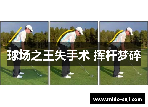 球场之王失手术 挥杆梦碎